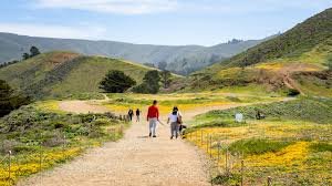 Mori Point Trail Head